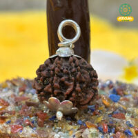 7 Mukhi Rudraksha Silver Pendant