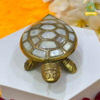 Brass Tortoise