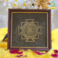 Jovial Vision Pyrite Shree Yantra