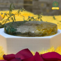 Career Booster Coaster