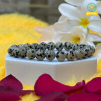 Jovial Vision Dalmatian Jasper Bracelet