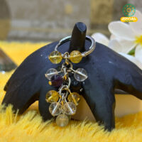 Jovial Vision Students Keychain