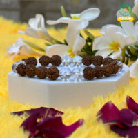 Jovial Vision 5 Mukhi Rudraksha & Clear Quartz Bracelet