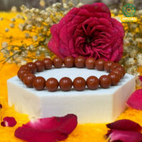 Jovial Vision Red Jasper Healing Bracelet