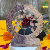 Jovial Vision Relationship Tree