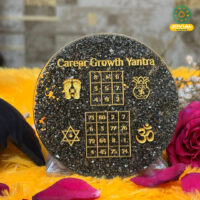 Jovial Vision Career Growth Coaster