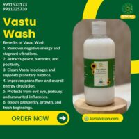 Jovial Vision Vastu Wash