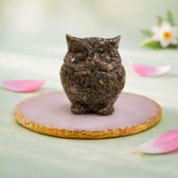 Jovial Vision Pyrite Owl