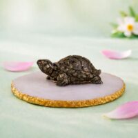 Jovial Vision Pyrite Tortoise